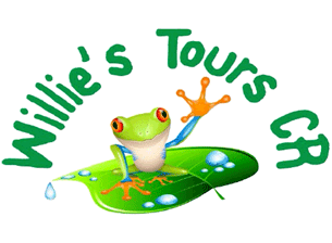 Willie's Tours CR