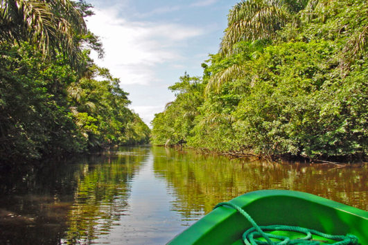 Tortuguero National Park Boat Shuttle to/from Moin Harbor – Inbound ...