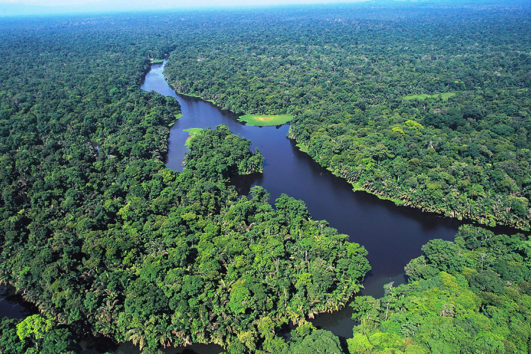 Tortuguero Rainforest Wildlife Boat Tour & Historical Puerto Limón ...