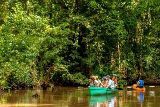 Tortuguero National Park Boat Shuttle to/from Moin Harbor – Inbound ...