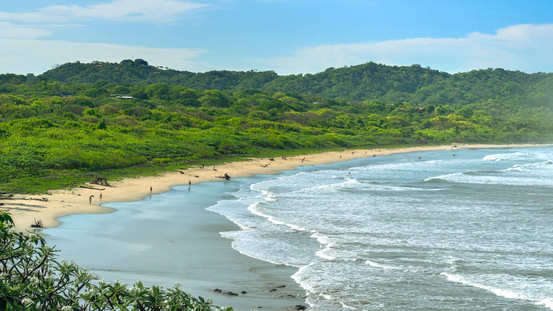 Liberia Airport to Samara Beach: Inbound/Outbound Private Shuttle $170 up to 4 persons